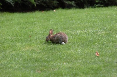 DSC_0030a.jpg