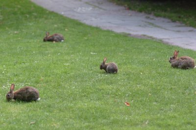 DSC_0036a.jpg