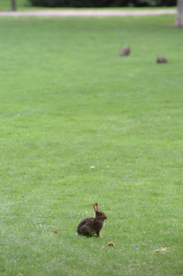 DSC_0065a.jpg