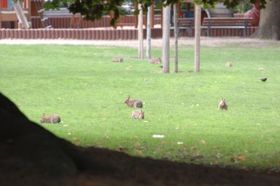 DSC_0094a.jpg