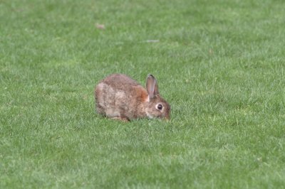 DSC_0126a.jpg