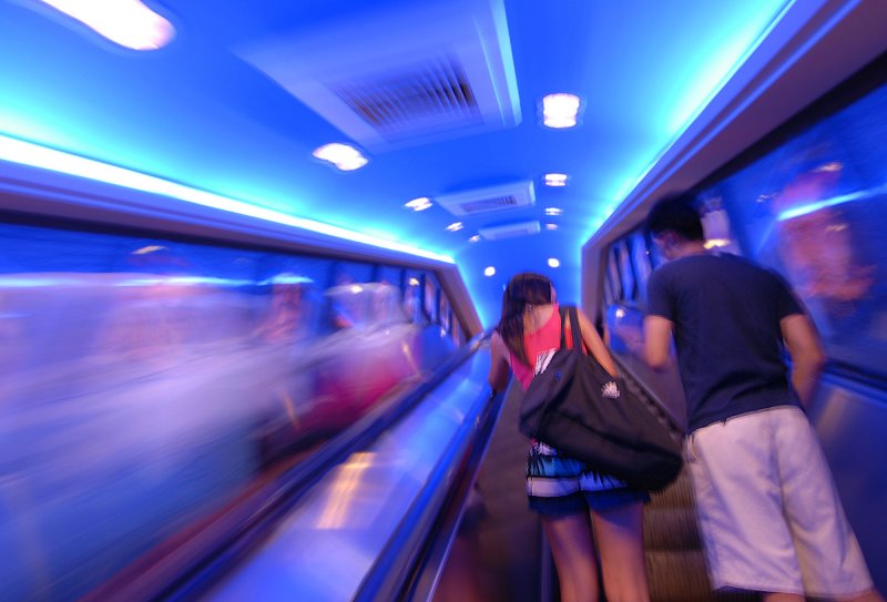 Up The Escalator