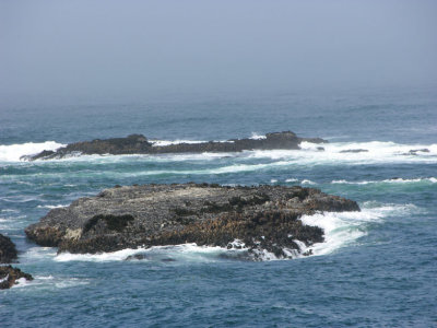 Mendocino