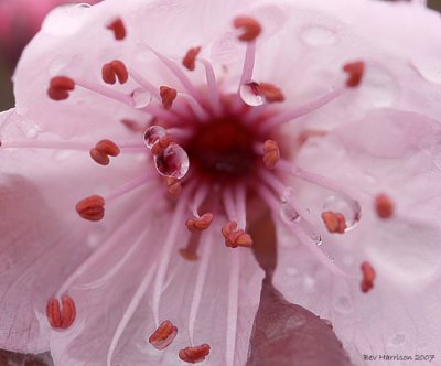 ran outside dodging the raindrops.......