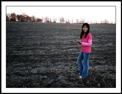 nov 23 soy field