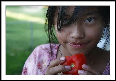 may 16 tomatoes