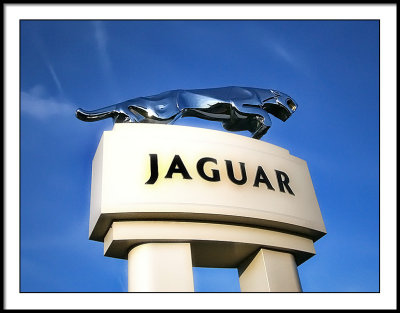 july 21 gray jaguar