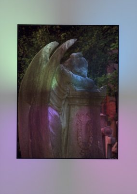 Coloured Angel