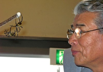 IMG_0151_Spider_PB.jpg