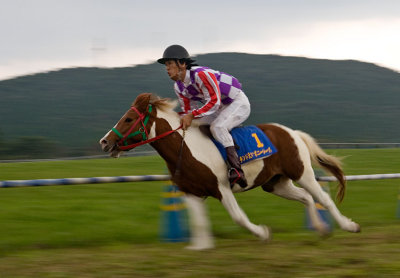 pony_races_2007