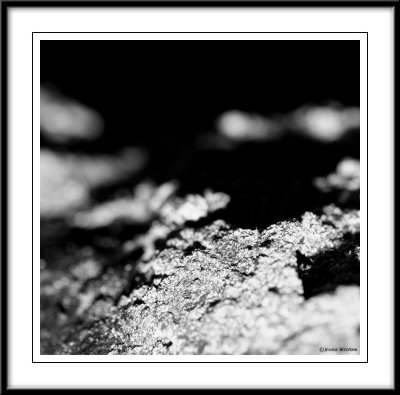december_pad
