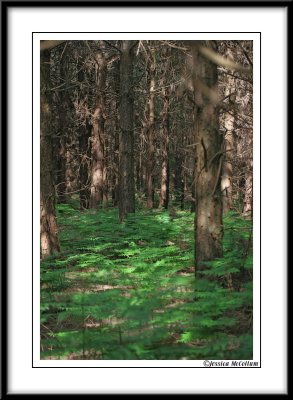 may_07_pad
