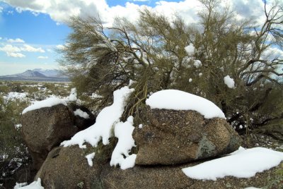 Cave Creek AZ Rock 944.jpg