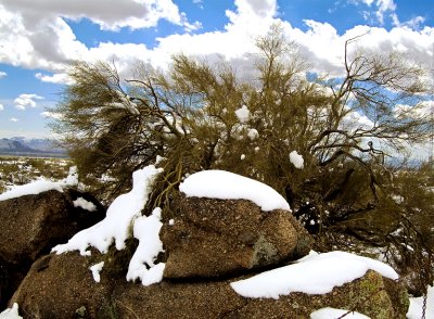 Cave_Creek946.jpg