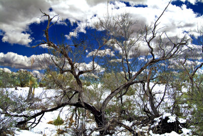 CAVE CREEK ARIZONA