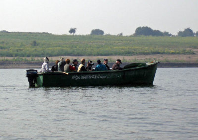 Letar Gangesdelfin