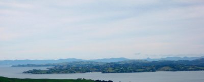 view from rangitoto2