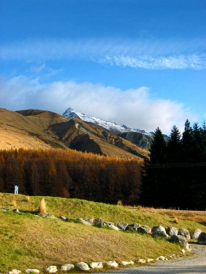 near mt. cook