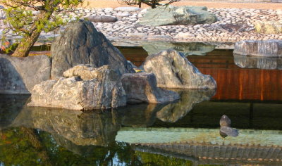 more water and rock gardens