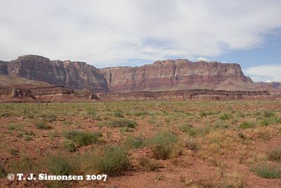 Red rocks and desert