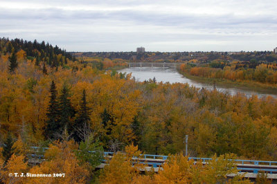 Fall in Canada: Edmonton 2