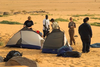 DSC_1194-01.jpg