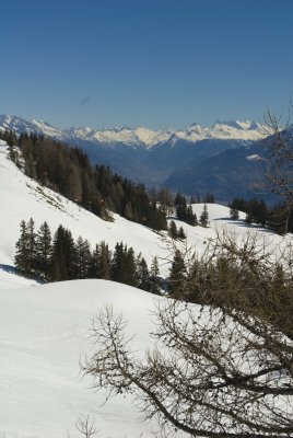 DSC_2211.jpg