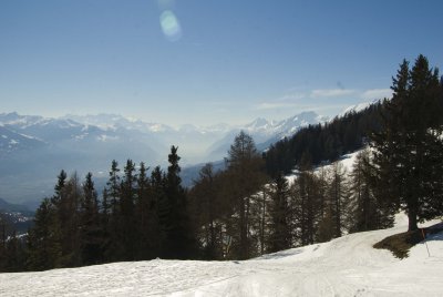 DSC_2217.jpg