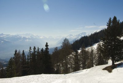 DSC_2219.jpg