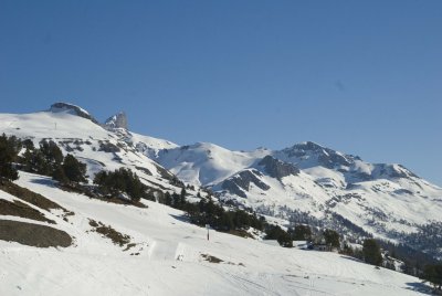 DSC_2330.jpg