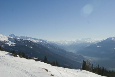 DSC_2331.jpg