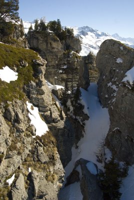 DSC_2333.jpg