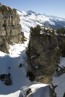 DSC_2334.jpg