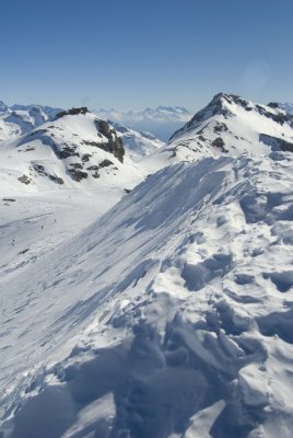 DSC_2359.jpg