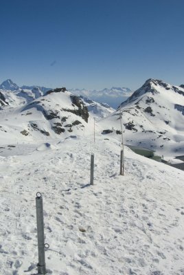 DSC_2372.jpg