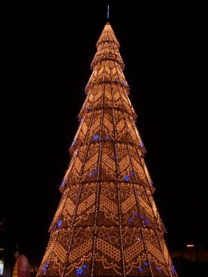 IMGP0114.JPG