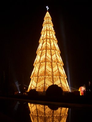IMGP0128.JPG