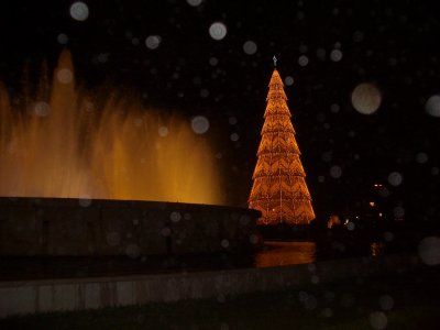 IMGP0136.JPG