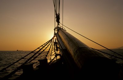 Boat 13.jpg