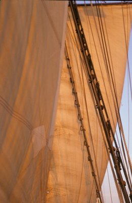 Boat 16.jpg