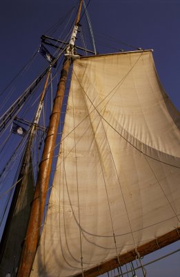 Boat 5.jpg