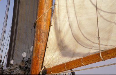 Boat 6.jpg