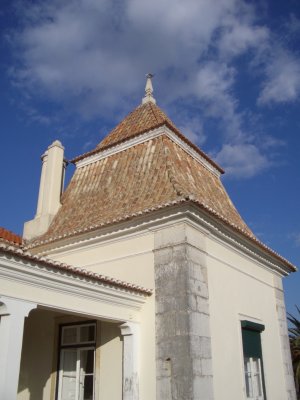IMGP0319.JPG