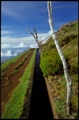 Madeira