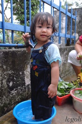 GLC_5553x.jpg