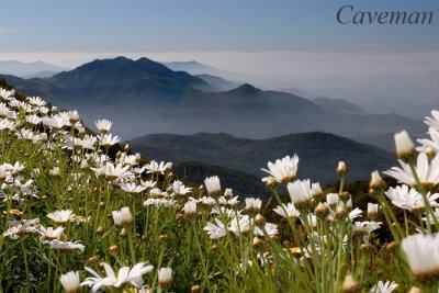 A view from Doi Inthanon Thailand