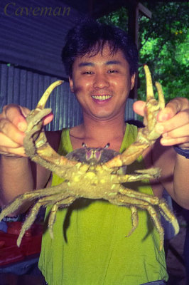 Tenggol Island - Coconut crab