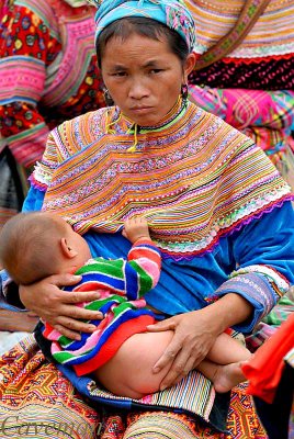 Bacha - market