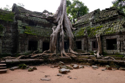 Ta Prohm