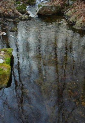 reflections in the stream.tif